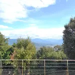Apartment 3 Rooms With Garden In Ajaccio