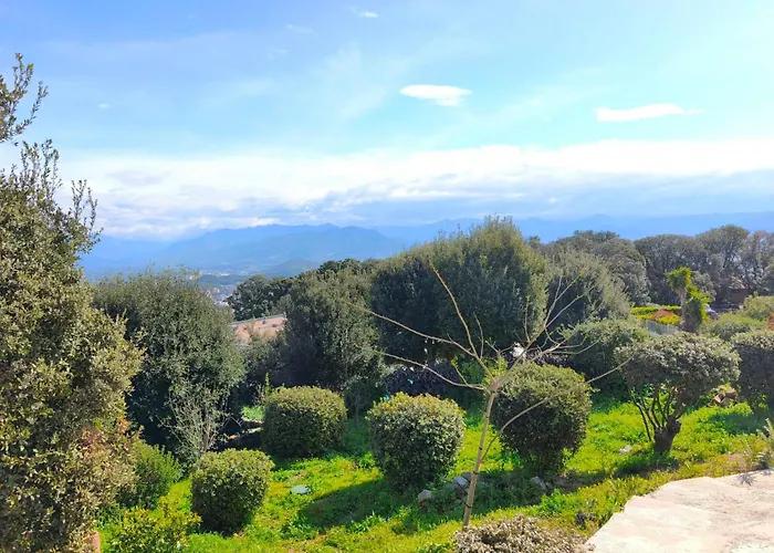 Apartment 3 Rooms With Garden In Ajaccio